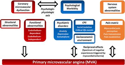 The Central Nervous System and Psychosocial Factors in Primary Microvascular Angina